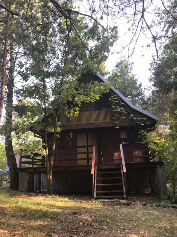 Дома для отпуска Dom na Skraju Lasu Stoczek Łukowski-18