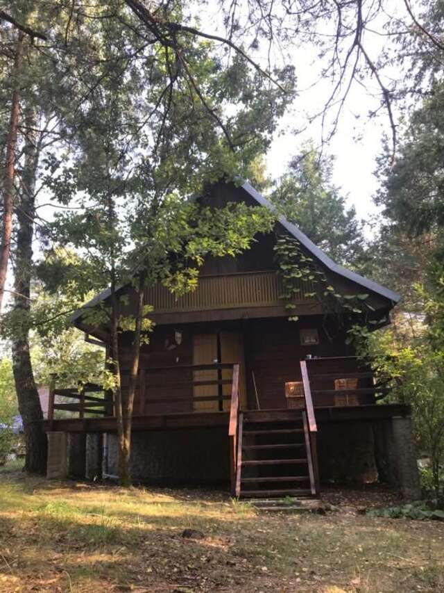 Дома для отпуска Dom na Skraju Lasu Stoczek Łukowski-17