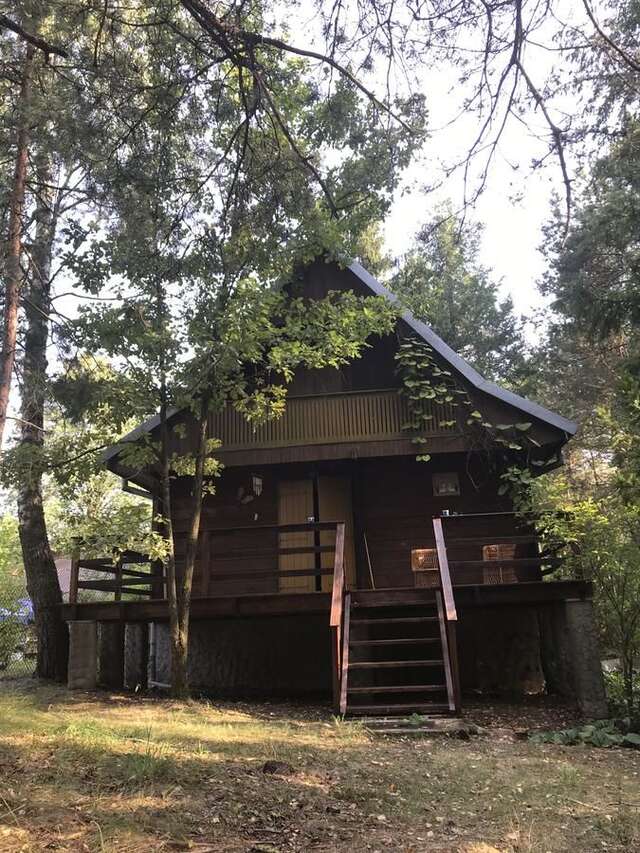 Дома для отпуска Dom na Skraju Lasu Stoczek Łukowski-10